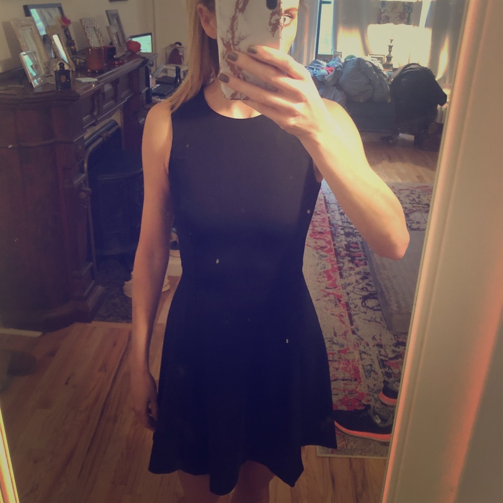Theory Dress